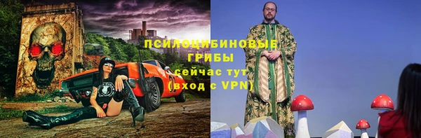 соль ск Арсеньев